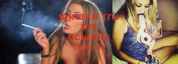 ПСИЛОЦИБИНОВЫЕ ГРИБЫ Абаза