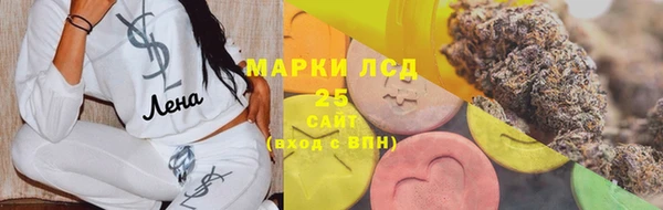 ПСИЛОЦИБИНОВЫЕ ГРИБЫ Няндома