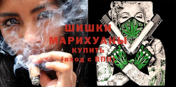 ПСИЛОЦИБИНОВЫЕ ГРИБЫ Няндома