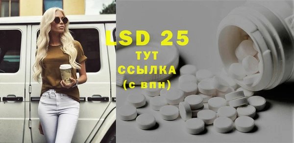 ПСИЛОЦИБИНОВЫЕ ГРИБЫ Абаза