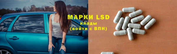 ПСИЛОЦИБИНОВЫЕ ГРИБЫ Абаза