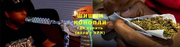 ПСИЛОЦИБИНОВЫЕ ГРИБЫ Няндома