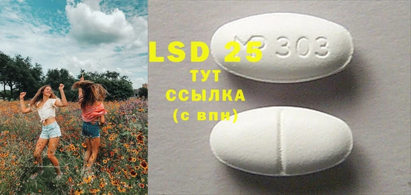 ПСИЛОЦИБИНОВЫЕ ГРИБЫ Няндома
